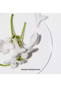 Cheapest 🎉 Clinique Happy™ Eau de Parfum Spray 👏 -Cosmetic Shop Belk 1900