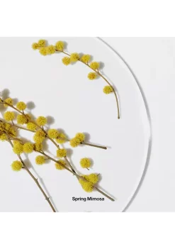 Cheapest 🎉 Clinique Happy™ Eau de Parfum Spray 👏 -Cosmetic Shop Belk 1901