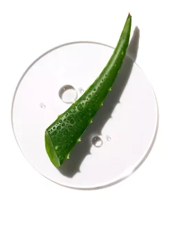 Cheapest ๐ Clinique Moisture Surgeโข Hydrating Supercharged Concentrate ๐ 6 Cheapest ๐ Clinique Moisture Surgeโข Hydrating Supercharged Concentrate ๐ -Cosmetic Shop Belk 2053