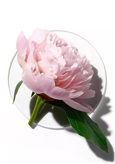 Best deal π Clinique My Happy Peony Picnic β 2 Best deal π Clinique My Happy Peony Picnic β - Image 2