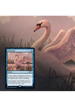Promo ⭐ Magic The Gathering Magic: The Gathering Secret Lair - Non-Foil Edition - Ornithological Studies 🎉 -Cosmetic Shop Belk 621