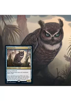 Promo ⭐ Magic The Gathering Magic: The Gathering Secret Lair - Non-Foil Edition - Ornithological Studies 🎉 -Cosmetic Shop Belk 623